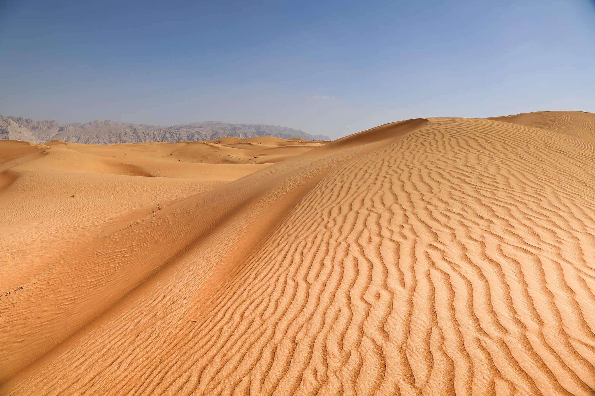 United Arab Emirates