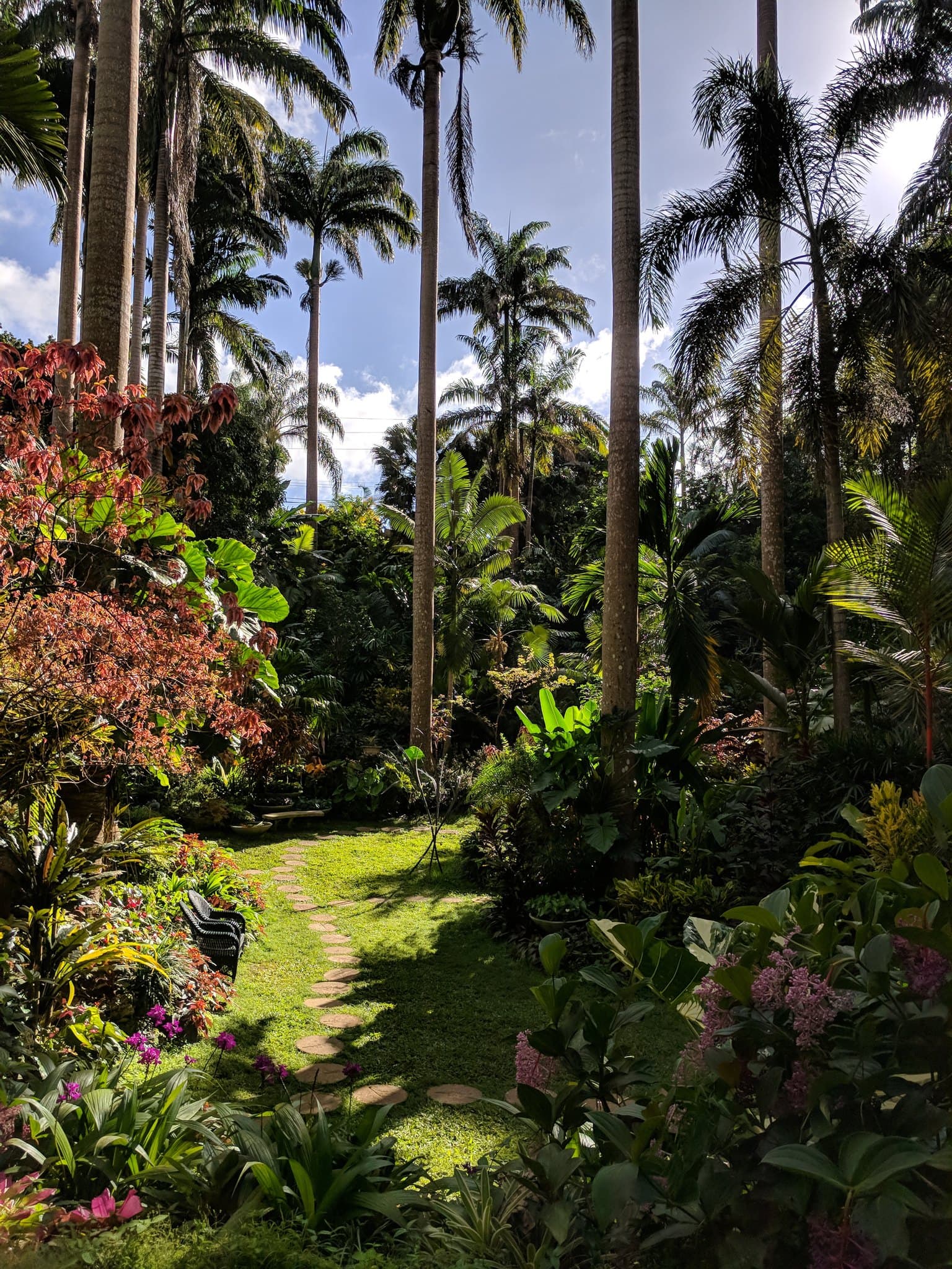 Barbados landscape