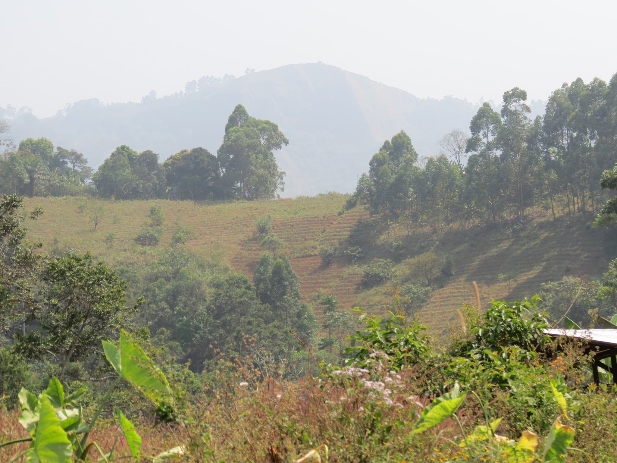 Cameroon