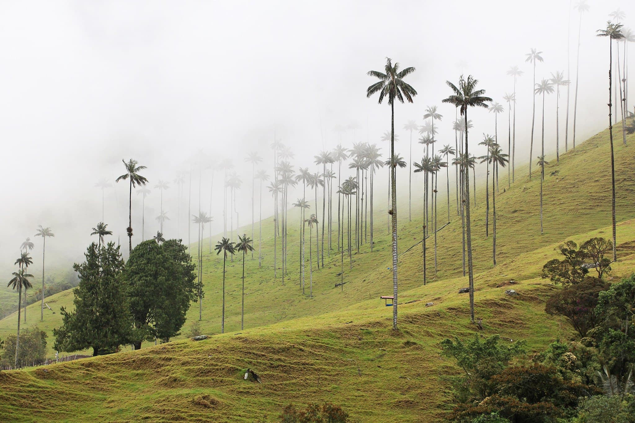 Colombia