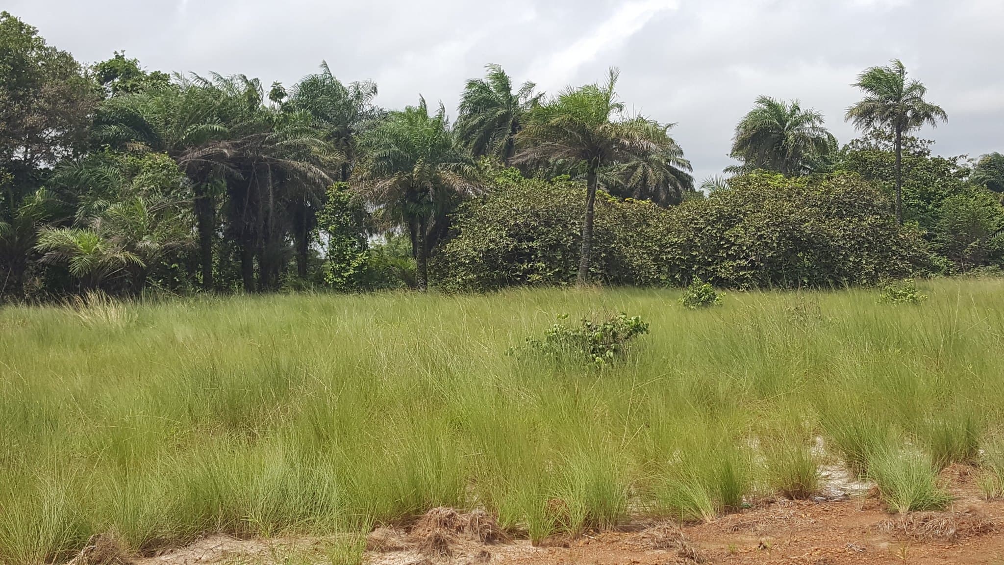 Liberia