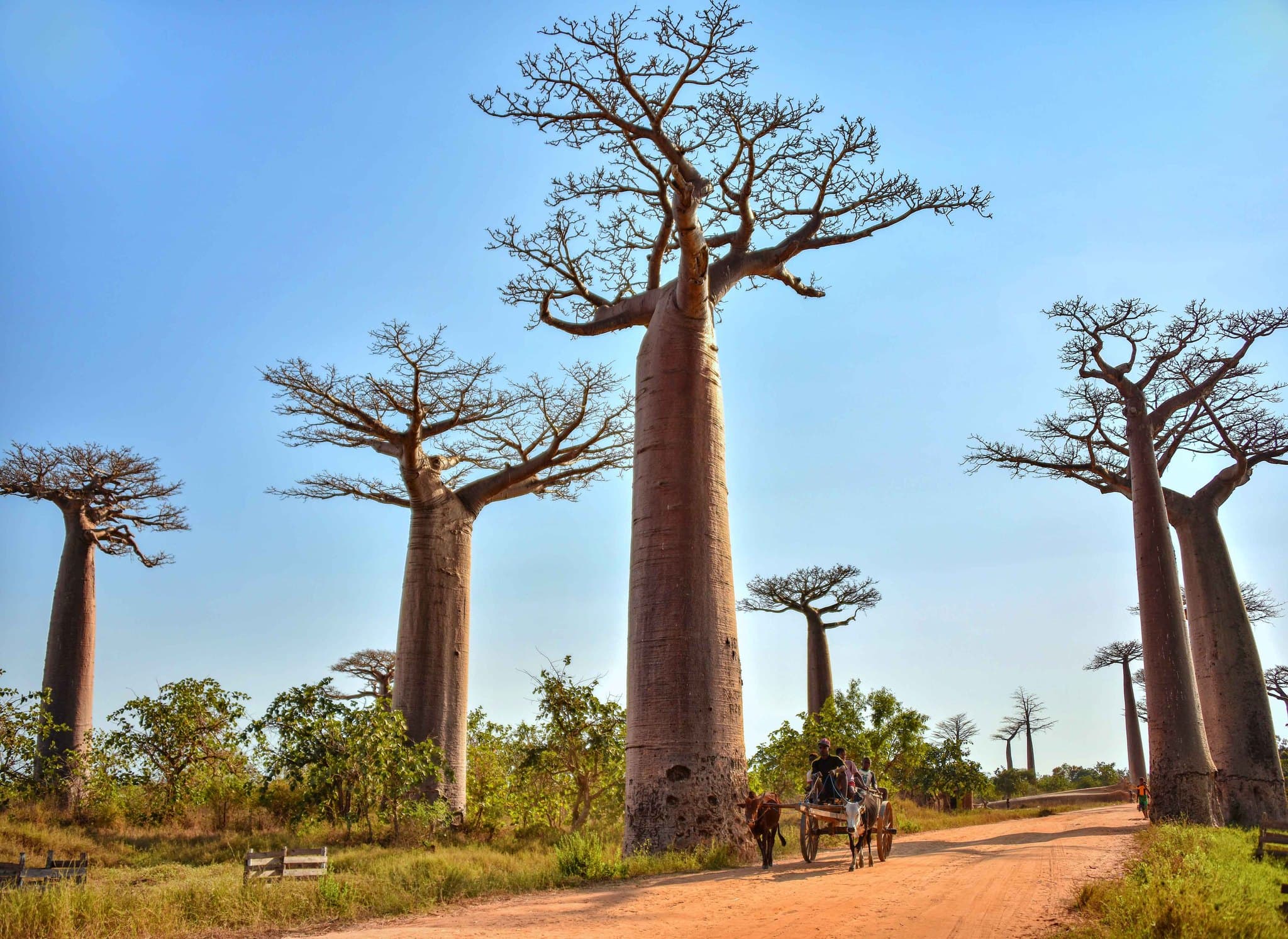 Madagascar