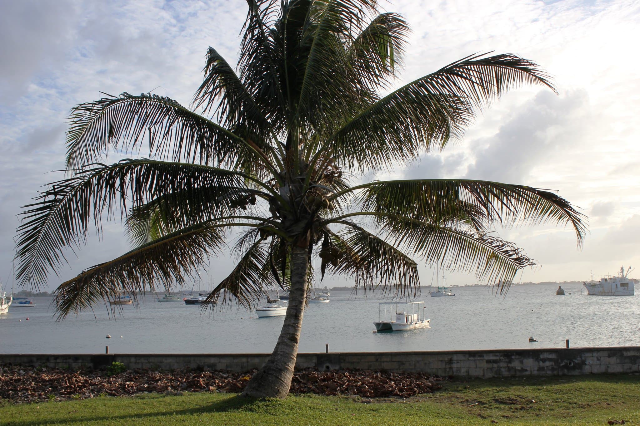 Marshall Islands landscape