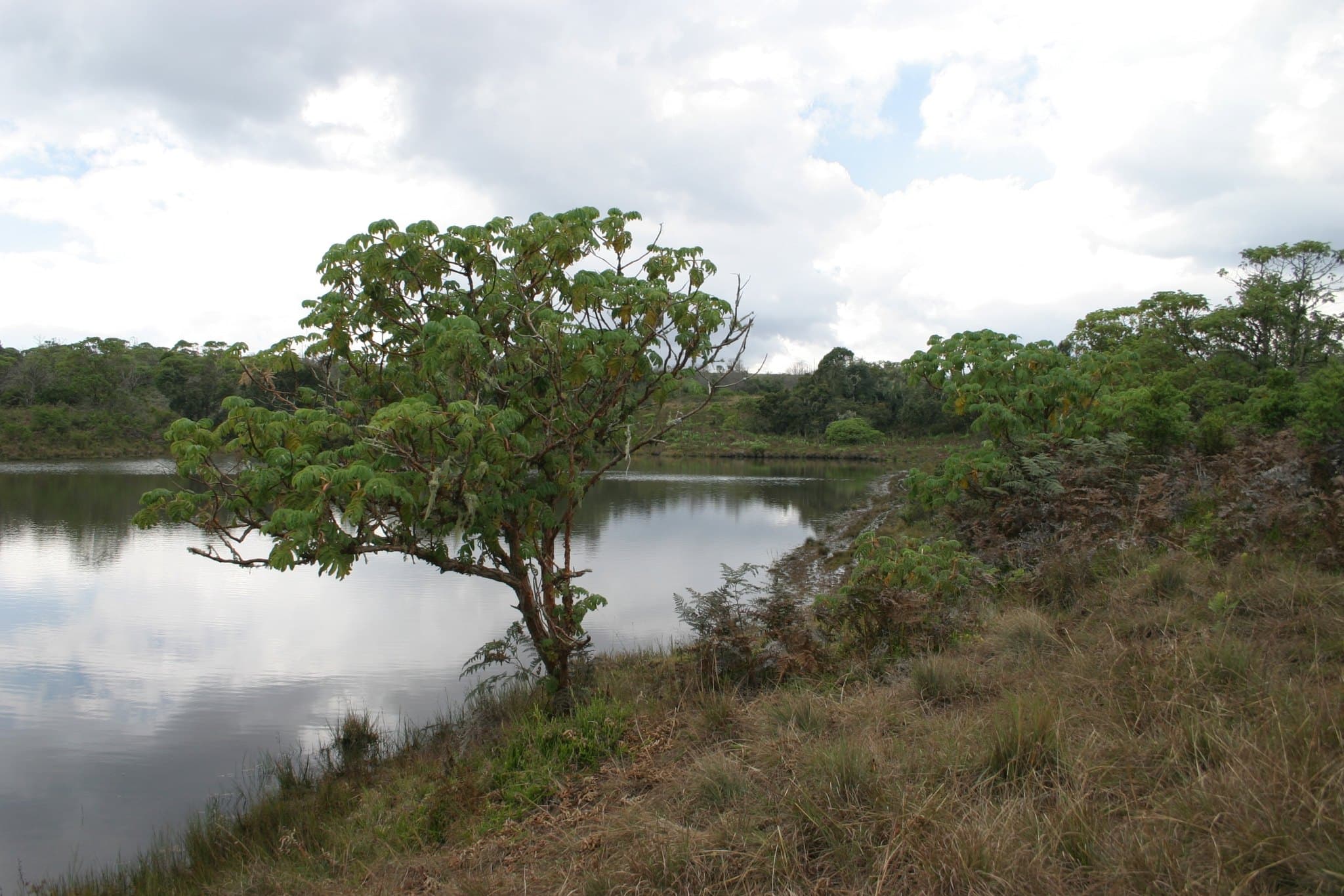 Malawi