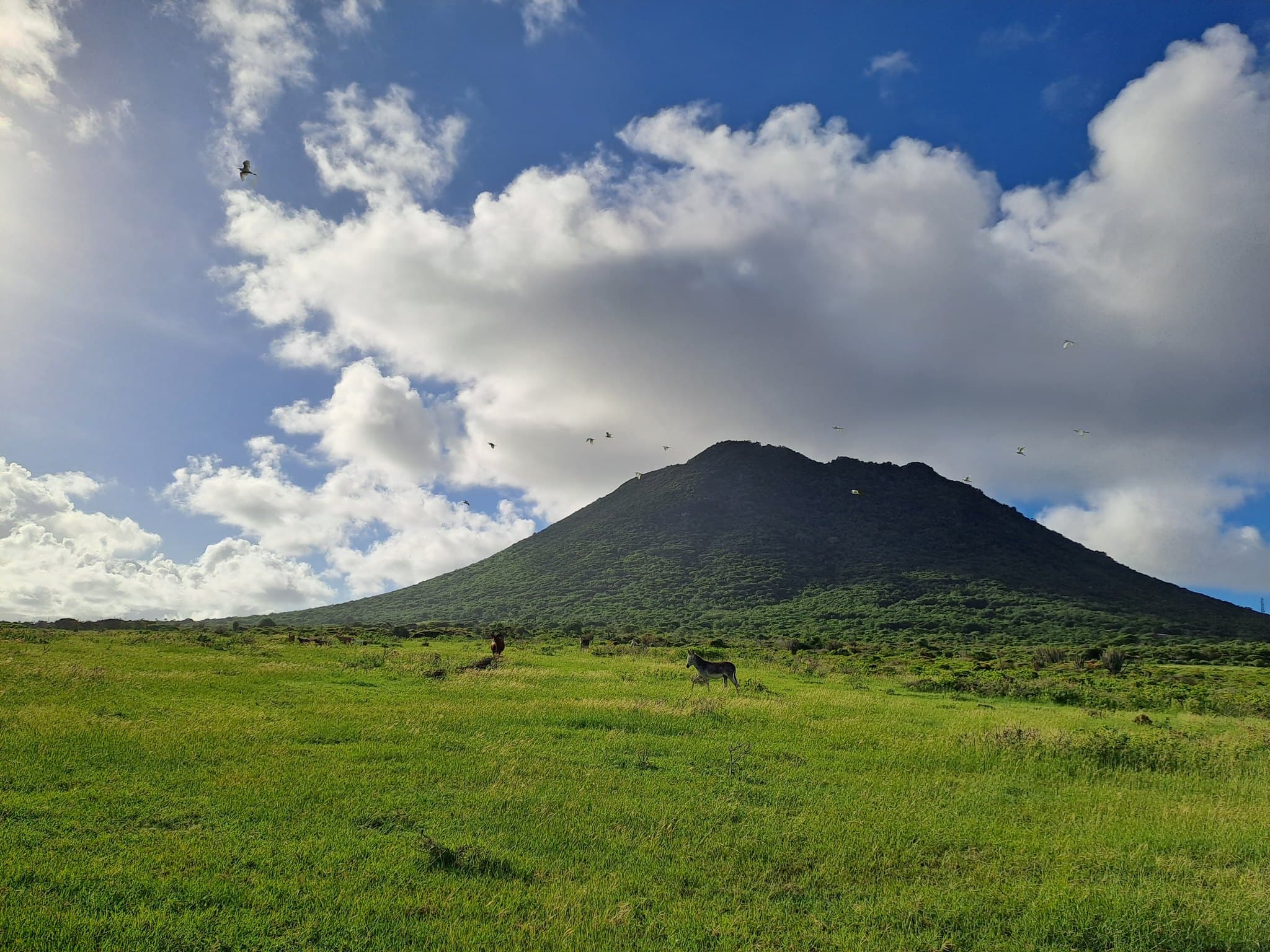 Sint Eustatius