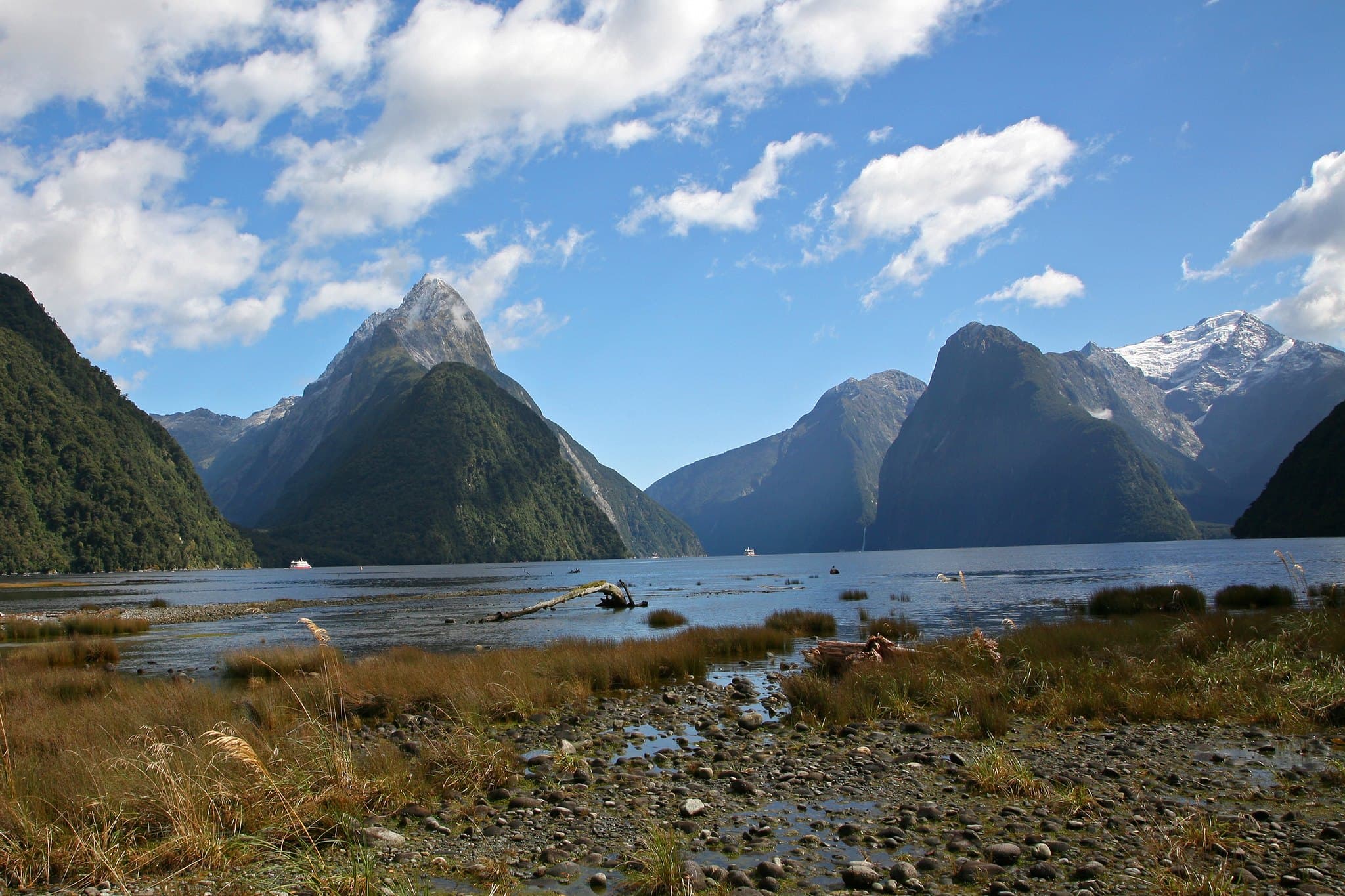 New Zealand landscape