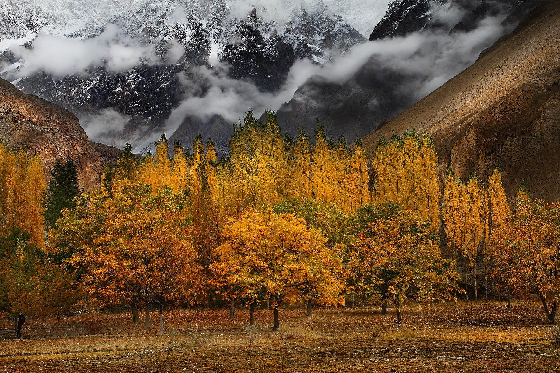 Pakistan