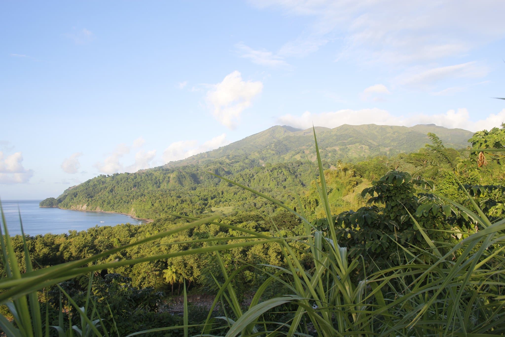 Saint Vincent and the Grenadines