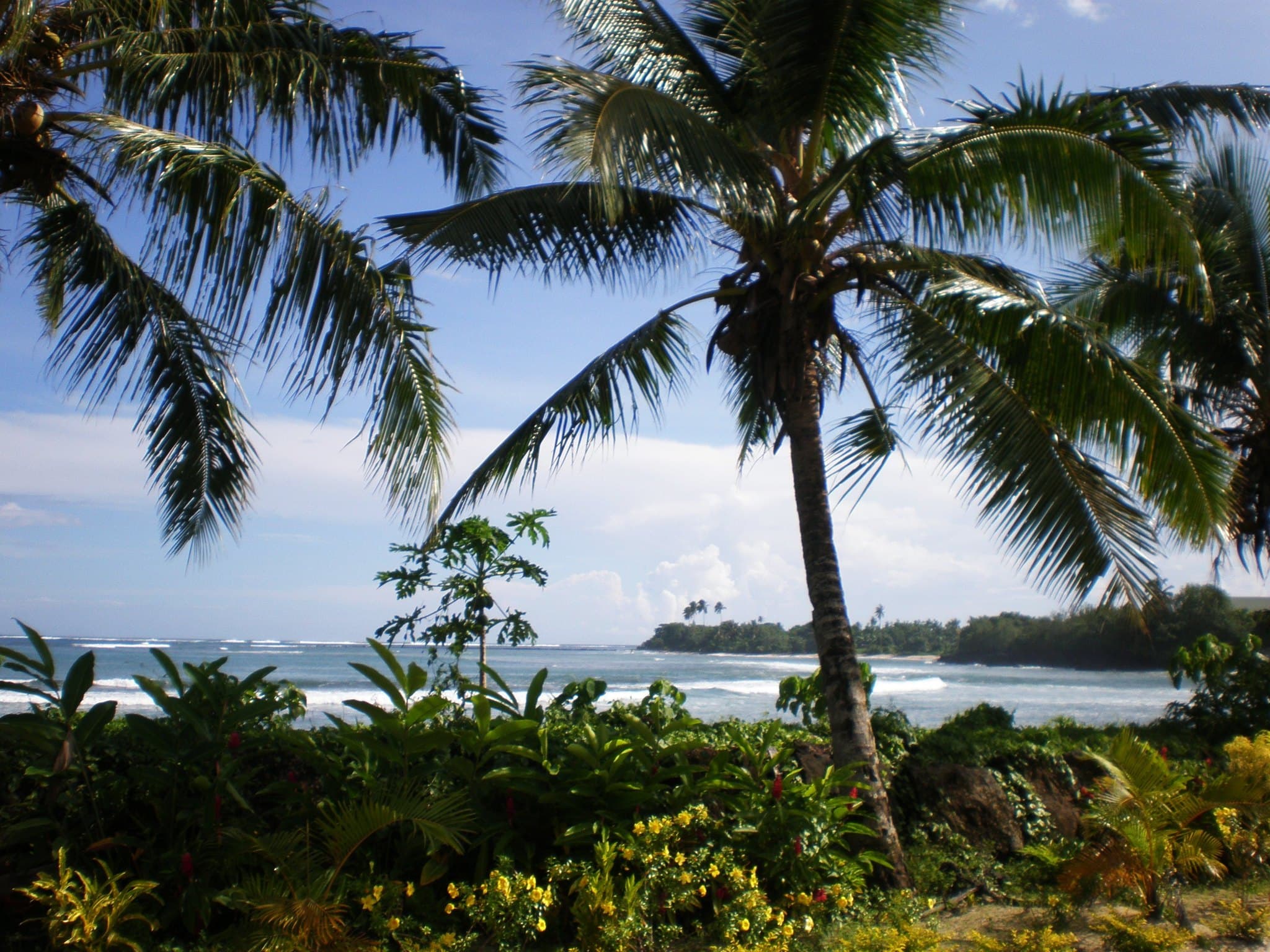 Samoa landscape